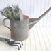 Vintage Watering Can - Rustic English Country Garden