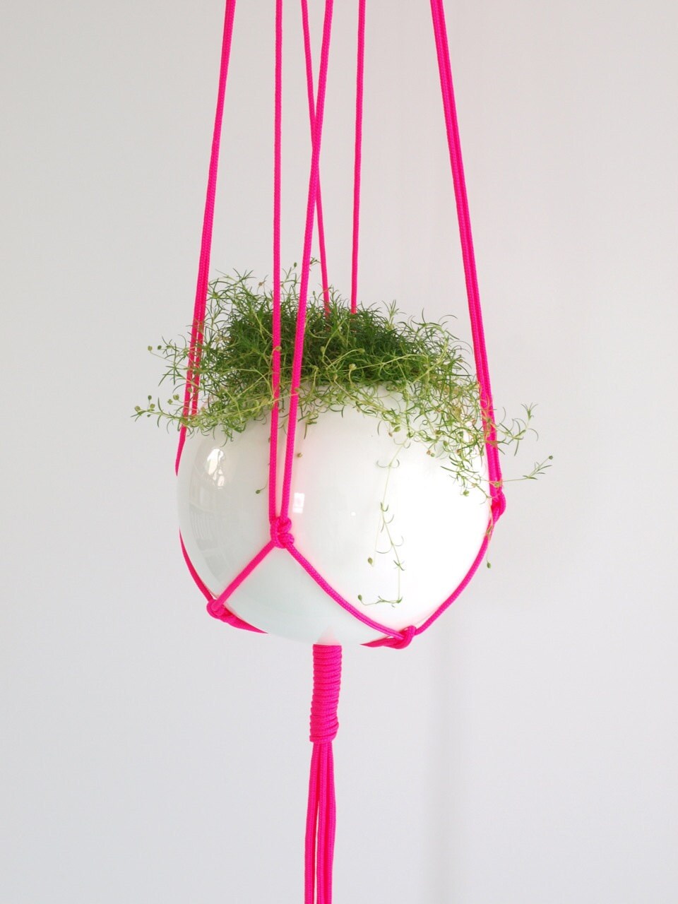 Macramé Hanging Basket