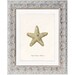 Vintage Starfish Print 5 x 7 Natural History Starfish