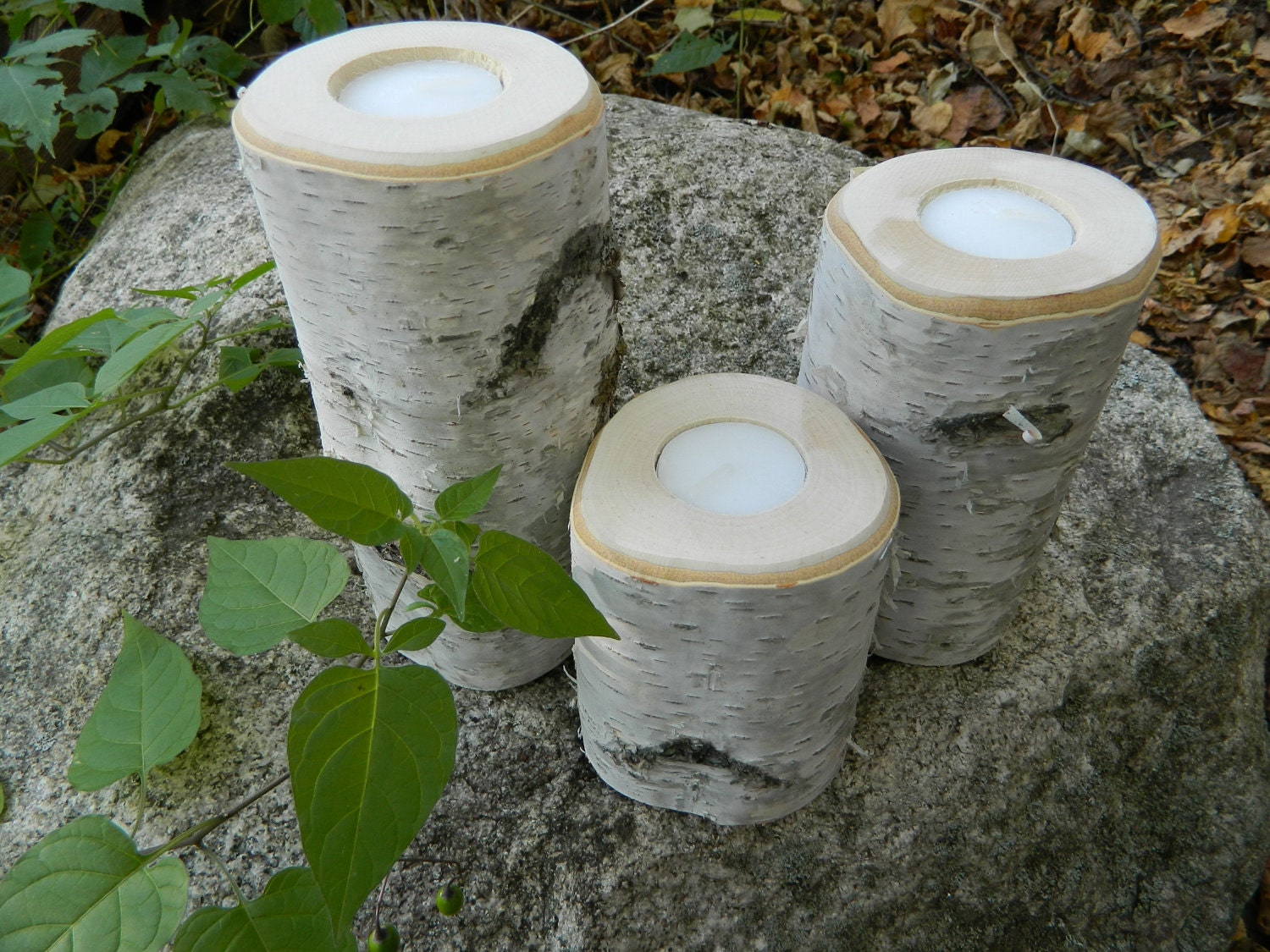 Birch Wood Candle Holders 2 sets of 3
