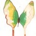 End of summer SALE bright green and yellow butterfly with white gold wings