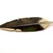 Vintage Brooch Wood Hand Carved and Painted Feather Pin, Signed by Artist
