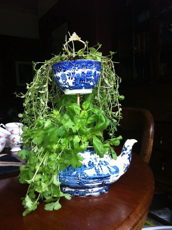 Items similar to Teapot Herb Planter DESIGN YOUR OWN on Etsy