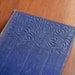 1930s book in blue A Wild Bird by Maud Diver