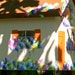 Colorful Country Cottage For The Birds