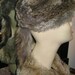 SALE VINTAGE FUR Daniel Boone Hat Wilderness Pioneer Style Costume