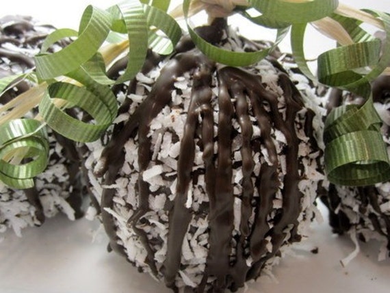 Coconut Chocolate Covered Apples - 2