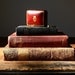Italian leather box