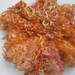 Hand dyed Rare Breed Teeswater curly wool locks-Custom Blythe doll hair, spinning and felt making-Ginger spice