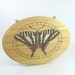SALE 40% off Butterfly Wall Art - Wood Pyrography - Zebra Swallowtail butterfly wall hanging