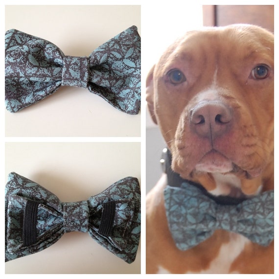 Boys Will Be Boys Bow Tie Collar Accessory for Pets by PitsnPosh