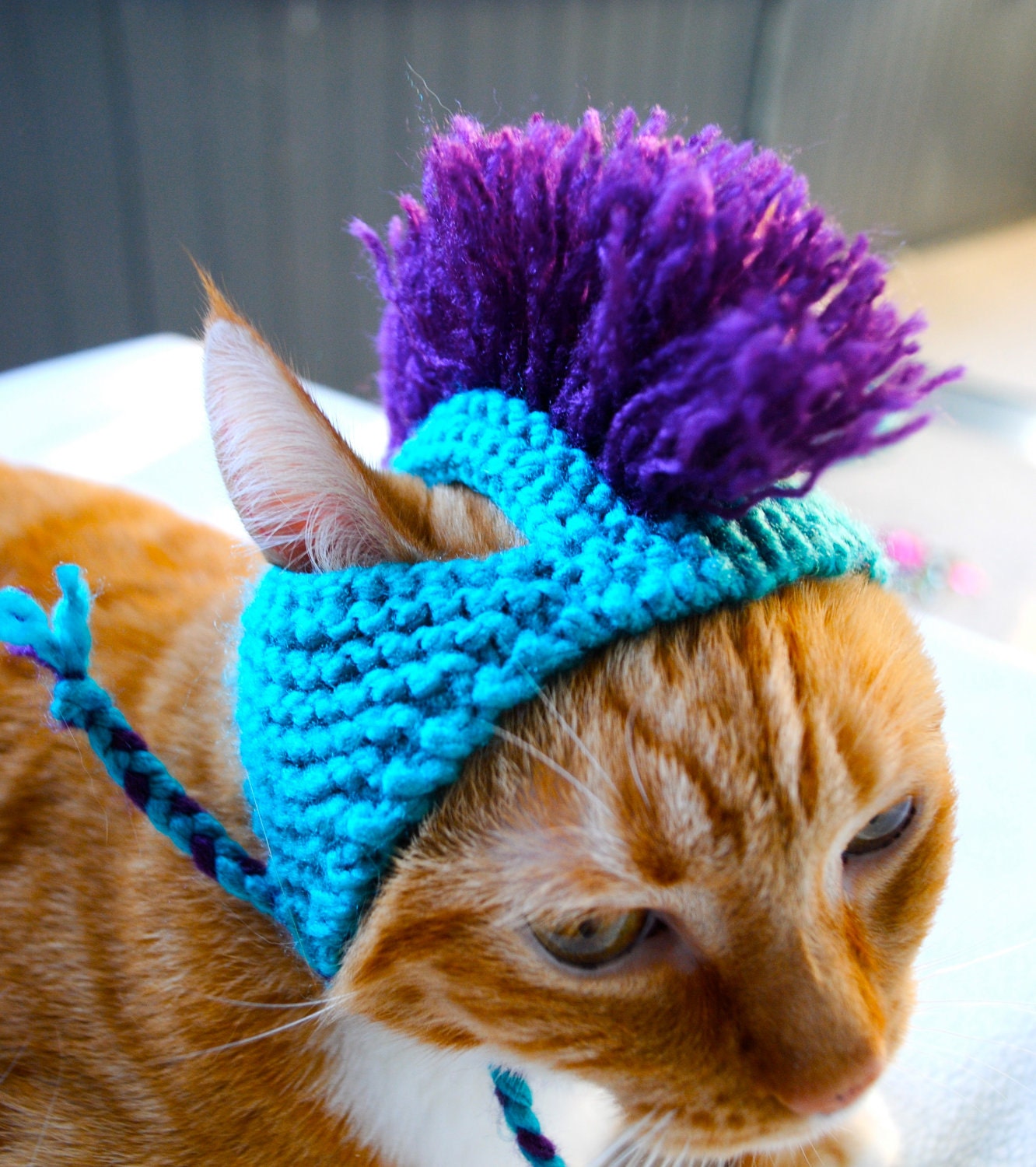 Mohawk Cat Hat Aqua and Purple Hand Knit Cat Costume