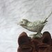 Florenza bird box, painted metal container