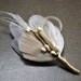 Ivory White Champagne Peacock Boutonniere Buttonhole Corsage Woodland Elegant - The MICHAEL Boutonniere