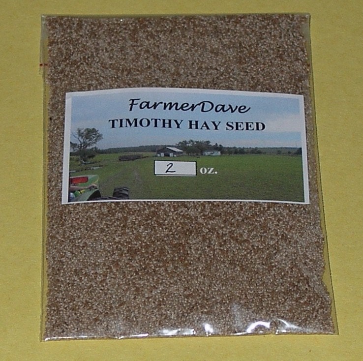 2 oz. TIMOTHY HAY SEED by FarmerDavePetSupply on Etsy