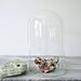Reserved for Shannon Vintage Glass Dome