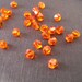 Tangerine Orange Crystal Beads, Bicone, 4mm, 40 beads