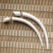 Natural White Bone - Hand Carved Organic Fake Gauges - JHARNA Talon Earrings