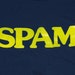 Vintage 1980s SPAM Logo T Shirt Navy Blue Soft Thin 50/50 Cotton Poly