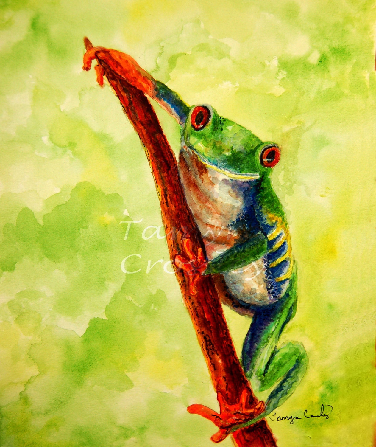 Rain Forest Frog Watercolor Art Print by Tamyra by studioquest