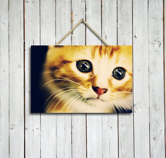 Items similar to Cute Kitten 12x18 canvas wrap nursery art cute
