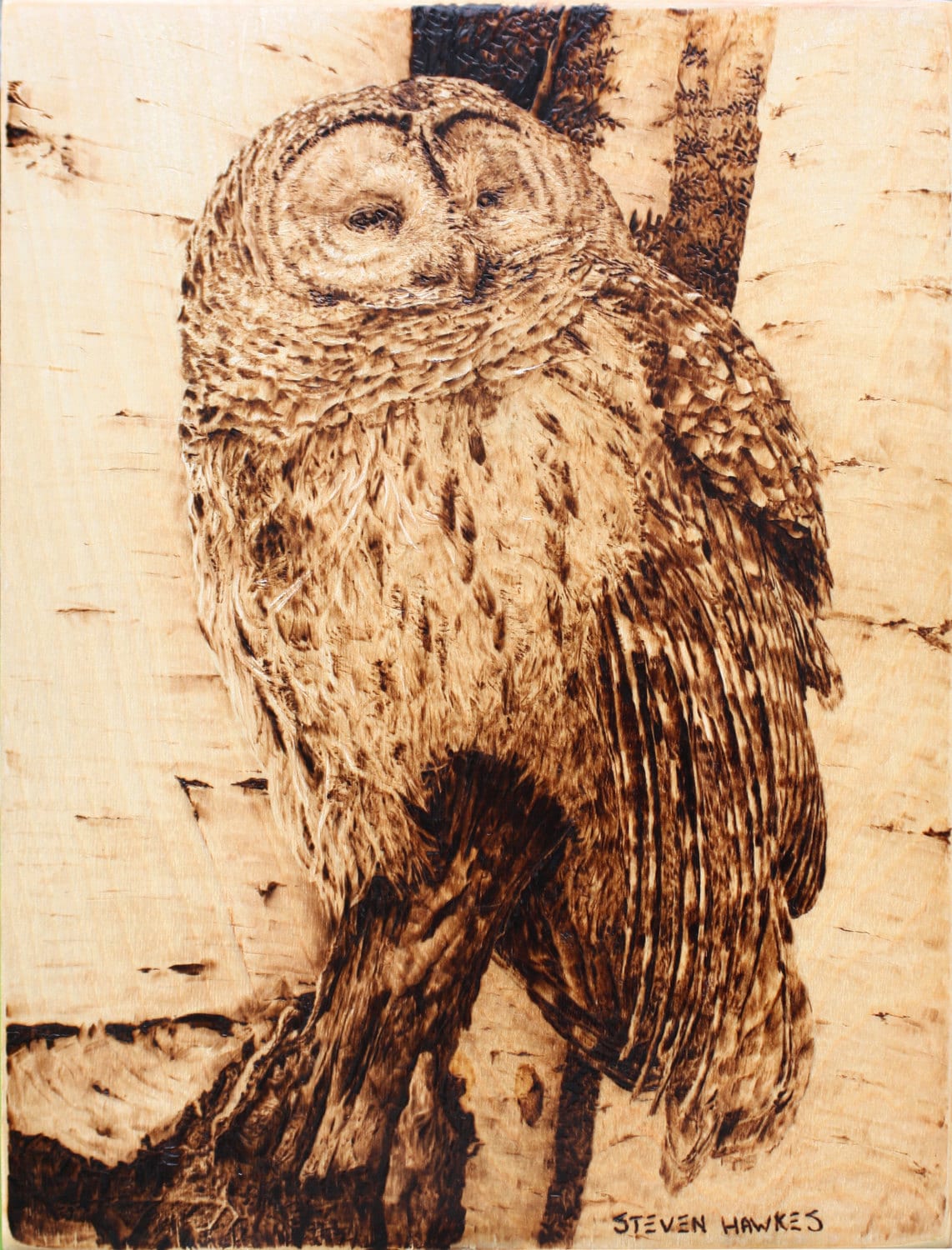 Barred Owl Wood Burning by HAWKESPYROGRAPHY on Etsy