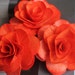 Wood Birch Flower - Orange/Tangerine