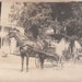Vintage/Antique photo of people in a beautiful horse carriage