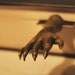 Gargoyle / Werewolf / Zombie Hand Art Bookmark - Gift wrapped / Ready to ship