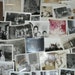 Families Vintage Lot 38 Family Snapshot Photos Families Picnic Vacation Reunion Wedding Parties Summer Party Holiday Black White Photographs