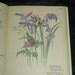 The Country Diary of an Edwardian Lady Edith Holden Wildlife Birds Flowers Watercolor Art Hardcover Book butterfly dragon fly woodpecker