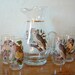 Vintage Owl Glasses Tumblers with Pitcher 5 Piece Set