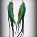 Peacock sword and rooster long feather earrings