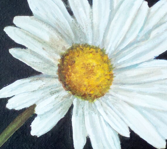 Traditional realistic still life white daisy yellow center 6 x