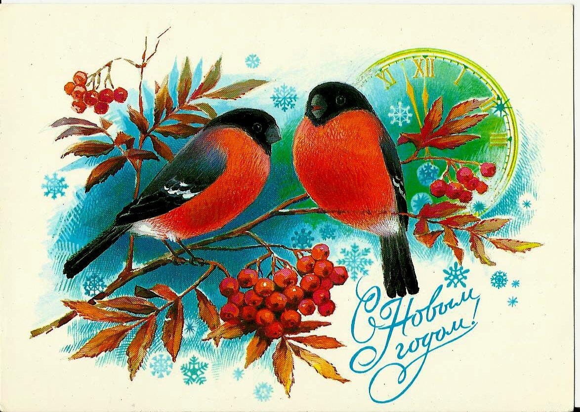 Bullfinch Birds  Vintage Russian Postcard Happy  New  Year 