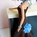 Fashion Doll Dress and Jewelry: Fancy Chocolate Dress