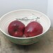 Porcelain Sage Green Praying Mantis Serving Bowl