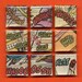 Comic Book Onomatopoeia Magnet Set - SCRANCH whunk BWOOF