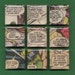 Comic Book Dialogue Magnet Set