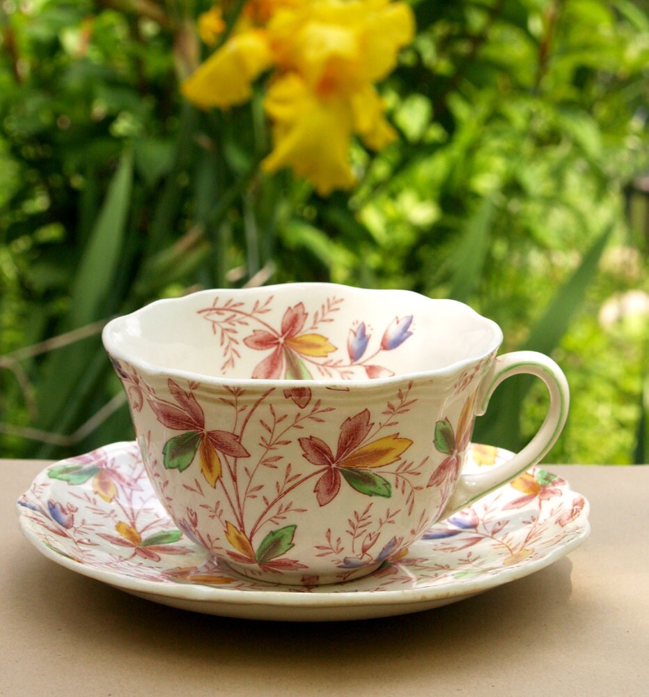 Vintage Royal DOULTON England Canada Tea Cup & Saucer