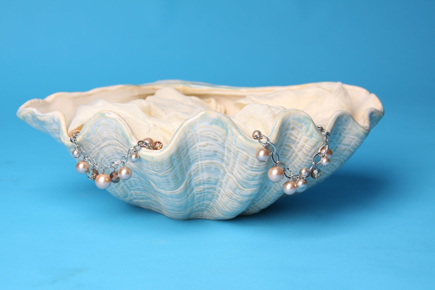 Newborn Seashell Picture