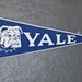 Blue Yale Pennant