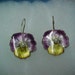 Vintage Pansy and Seed Pearl Enamel Earrings with 14K White Gold Shepherd Earwires