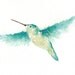 Hummingbird - Original Watercolor Painting