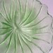 Vintage Vaseline Glass Leaf Dish