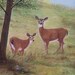 Doe and Fawn