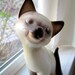 Long Neck Siamese Cat ceramic figurine kitten sleepy closed eyes statue