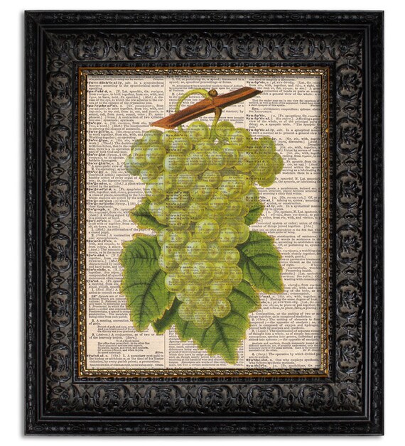 Items similar to dictionary art vintage WINE GRAPES book page print on