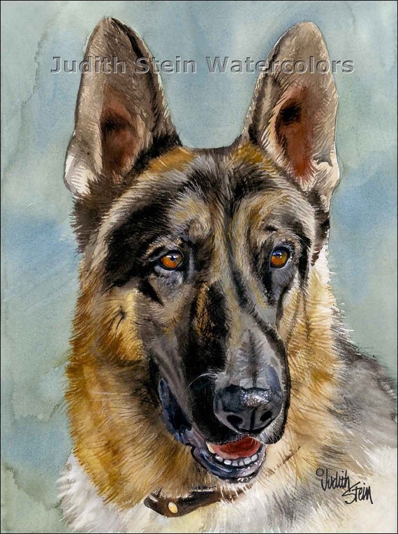 GERMAN SHEPHERD DOG Pet Portrait Watercolor Art Print by k9stein