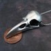 Bird Skull Necklace in Satin Finished Pewter on Stainless Steel Chain